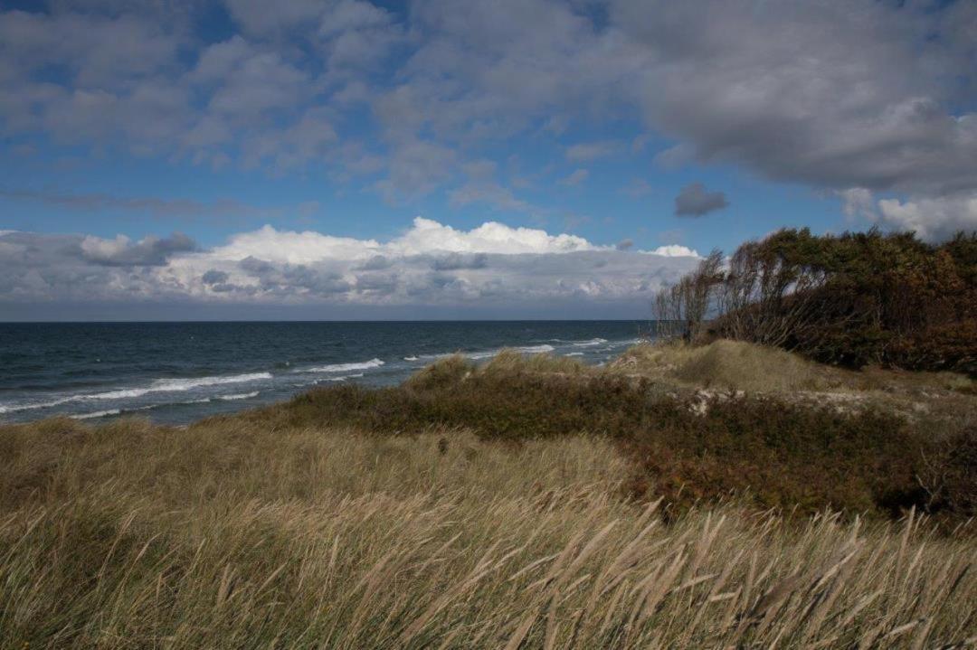 Studio 11 Im Haus Stranddistel, Modernes Studio Im 1 Og Fur 2 Personen In Zingst Exteriör bild